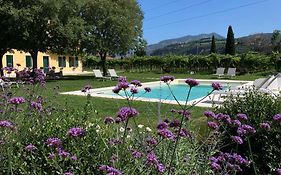 B&B Campagnon Valpolicella